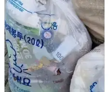 쓰레기 버리러 왔다가 발견함. 꺼낸다 vs 안 꺼낸다.jpg