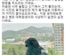 조류도 인정하는 사냥감