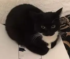 아인작가가 그린 신작 에일리언같은 크리쳐 나오는 만화구나