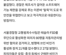 국내에서 테슬라 차종으로 FSD 활성화한 80명 검거