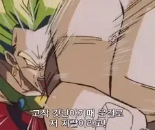 드래곤볼)근육힘캐의 고정관념을 깨부순 캐릭터
