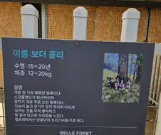 우린 지능이 낮고 끈기가 없음