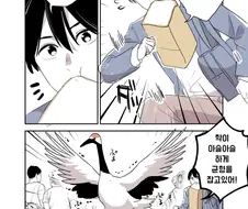 은혜갚지 못한 학과 비둘기 이야기.Manhwa