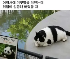 이력서 거짓말로 썼는데 취업에 성공