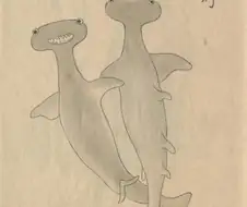 기묘한 상어 그림.jpg