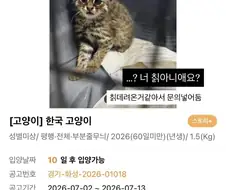 유기묘중에 칡이 있어요!!.jpg