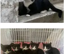 피는 못속임