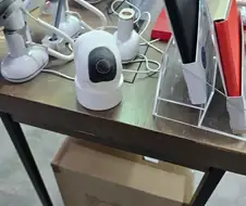 ㅋㅋㅋㅋ홍콩왔는데 메차카멜레온 찾음