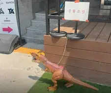 솔직히 이거 입마개 해야되는거 아니냐???