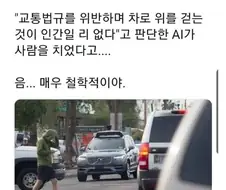 삐빅 인간이 아닙니다