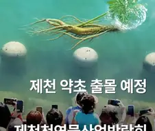 상어가 없었던 충북 제천시