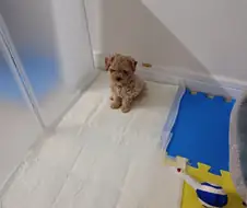 어린이날 특선 사진