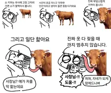 소가 다가오는 만화