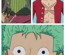 원피스 루피와 조로의 실제 면모