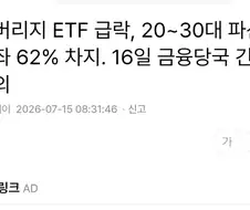 주식 레버리지가 만든 현상