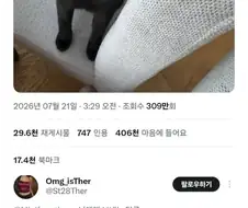 누가 고양이는 멍청하다고 했는가