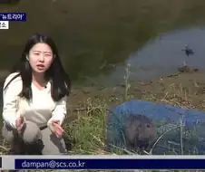 조서희 기자의 이메일