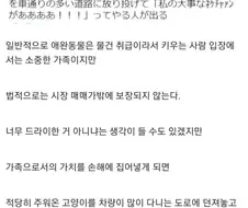 반려동물이 실제로 법적으로는 물건 취급 받는 이유..jpg
