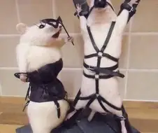 압수수색영장이 들어왔습니다