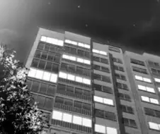 야스각을 재는 구미호 만화.manhwa