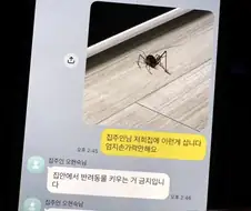 집주인님 저희집에 이런게 삽니다 엄지손가락만해요.