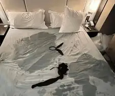 격렬했던 촬영현장