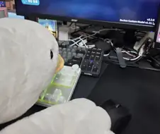 노총각이라는거 너무 야한거 같지 않음?