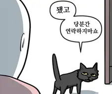 길고양이한태 버림 받음