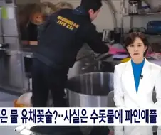제주 특산품 유채꽃술의 정체