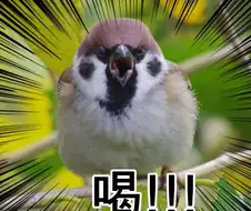 MCU)가오갤 멤버들 나올때마다 재밌는거