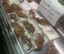 신선한 게 팝니다.jpg