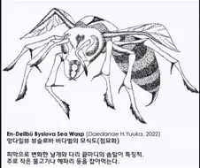 솜털이 특징인 앙다일뷰