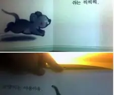 개, 고양이, 인간 종족의 차이점