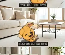 강아지가 목욕 후 미친 듯이 뛰는 이유.jpg