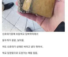 마른하늘에 돌벼락.jpg
