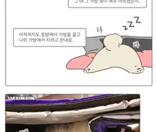 가방 속이 자기집인 줄 아는 댕댕이.manhwa