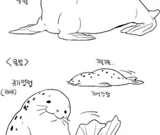 물개와 물범을 구분하는 만화.manhwa