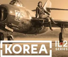 "스팀에서 Korea 전투기를 몰아보세요!"