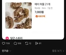당근마켓에 올라온 매미허물.jpg