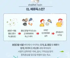 봄에 굴이나 조개 먹을 때 조심해야 하는 이유