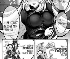 유희왕, 번역) 체임 드래곤폼 하는 만화