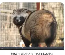 ???: "저기요, 지금 제 엉덩이 봤죠?"