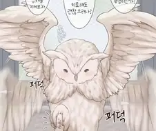 은혜갚는 부엉이.manwha