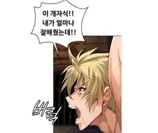 "오크를 들여보내세요."