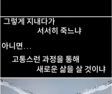 늙은 올빼미의 선택