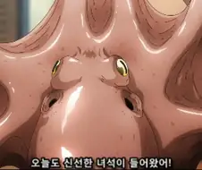 [후방]음란한 문어