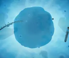 체인소맨) 뇌가 썩어버렸어