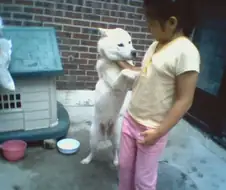 "끝이다. 무능한 녀석."