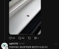 존잼벌레