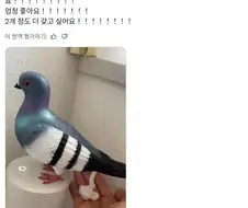 비누 디스펜서 레전드